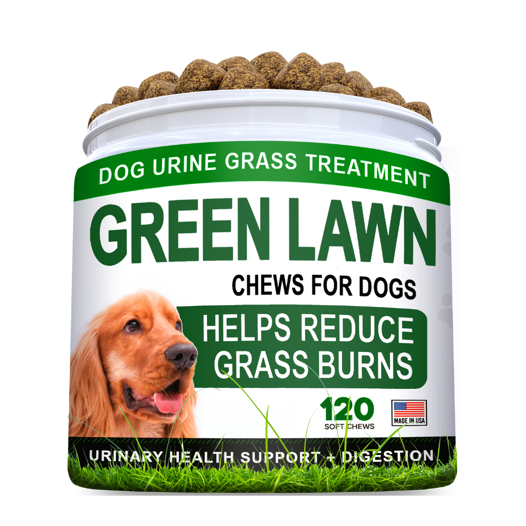 Supplement for dog urine killing best sale grass