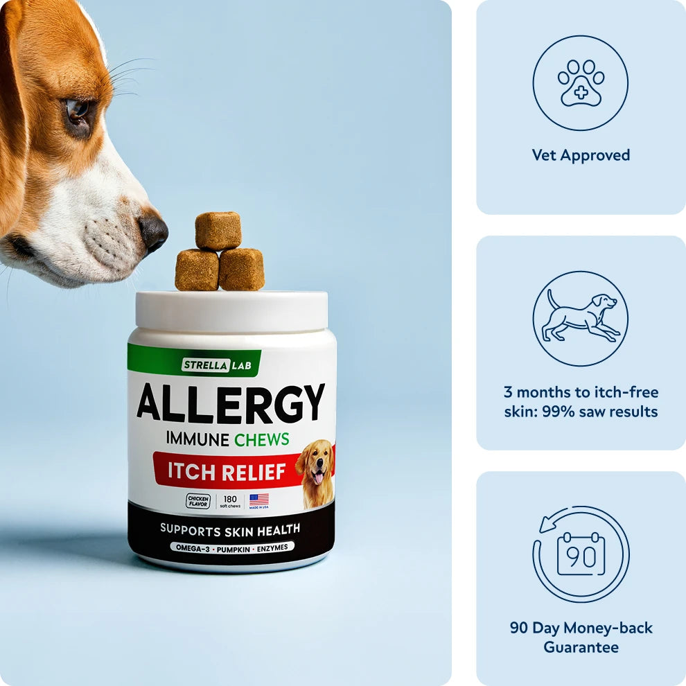 Allergy Relief Dog Natural Premium Treats – StrellaLab