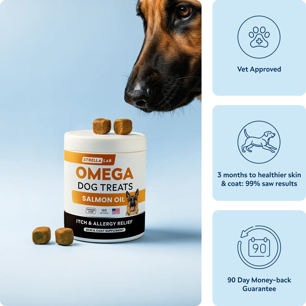 Omega Skin & Coat Chews