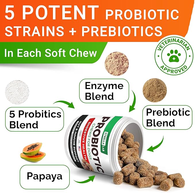 Probiotics for dogs