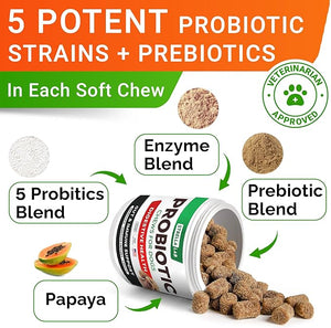 Probiotics for dogs