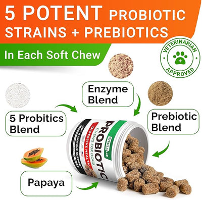 Probiotics for dogs
