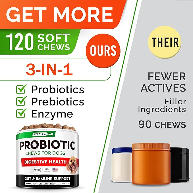 Probiotics for dogs