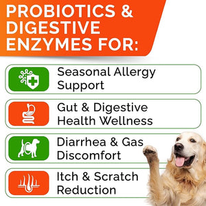 Probiotics for dogs