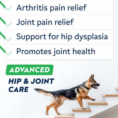Advanced Glucosamine Chondroitin Joint Supplement