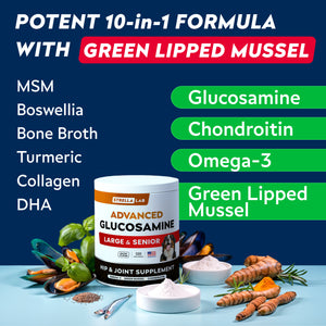 Advanced Glucosamine Chondroitin Joint Supplement
