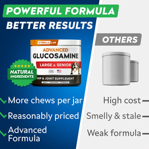 Advanced Glucosamine Chondroitin Joint Supplement