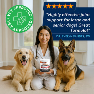 Advanced Glucosamine Chondroitin Joint Supplement