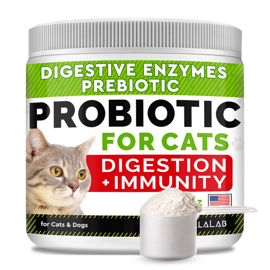 Probiotics Powder for Cats