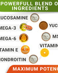 Glucosamine + Omega 3 Treats Combo