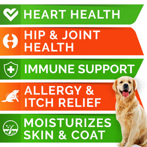 Glucosamine + Omega 3 Treats Combo