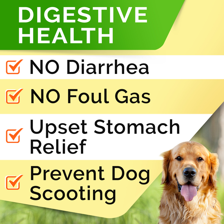 Dog probiotics online for gas