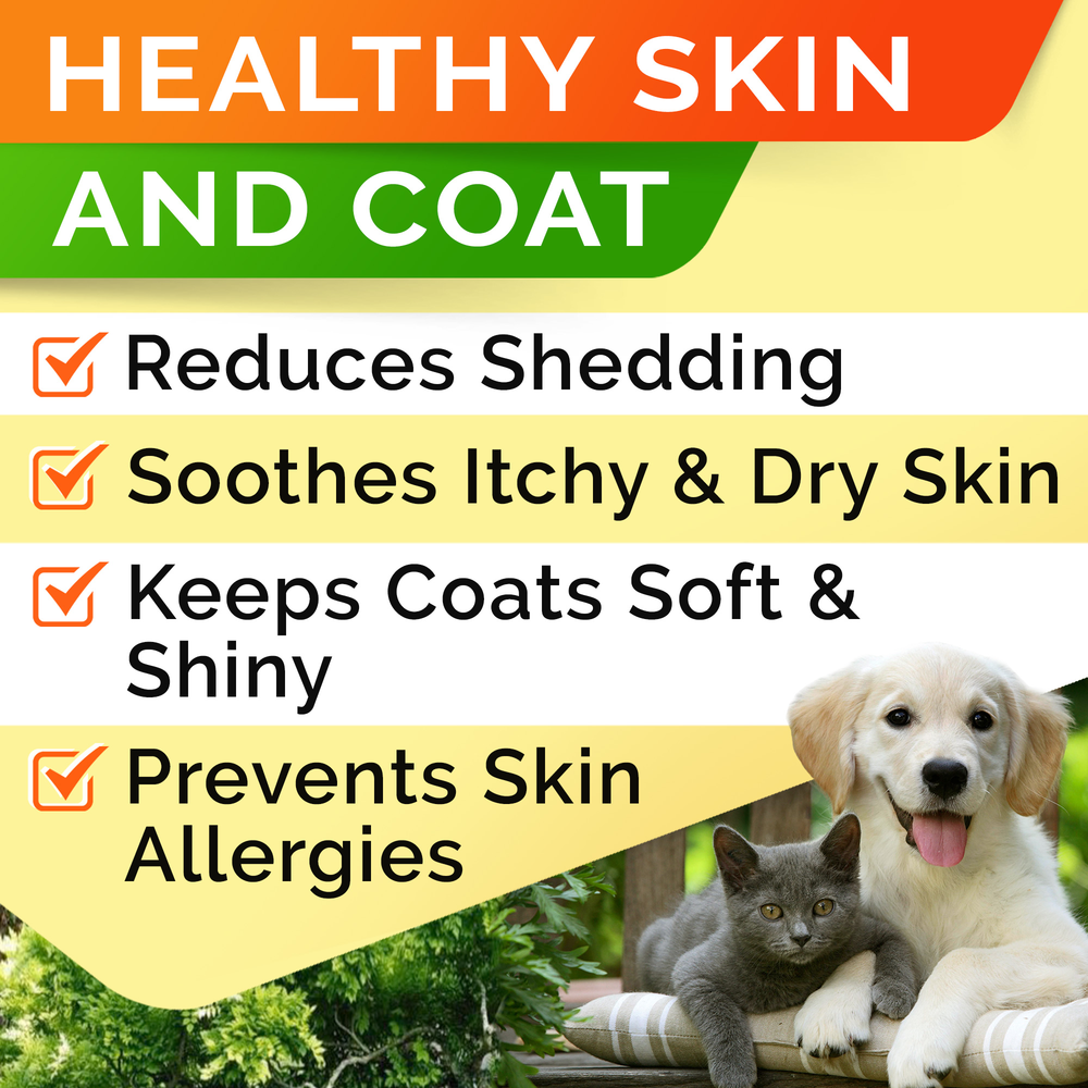 Salmon Oil Omega 3