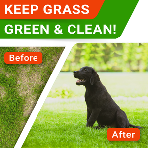Green Lown Chews (120 pcs)