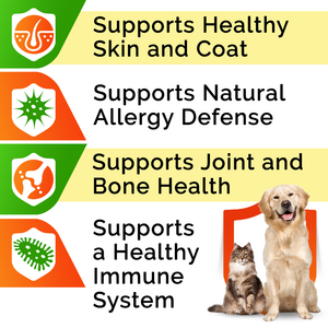 Salmon Oil Omega 3