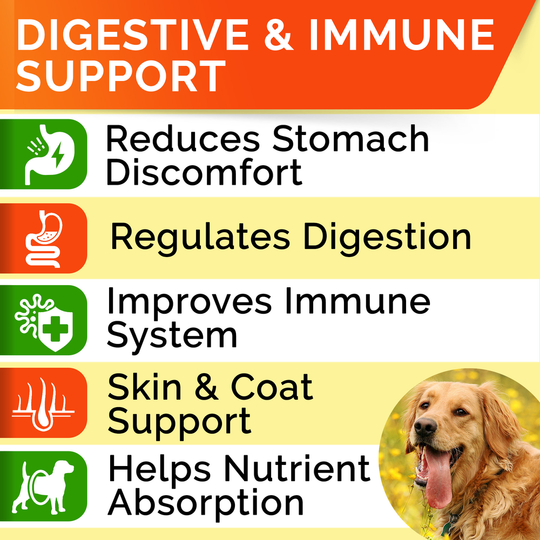 Dog Probiotics Treats for Picky Eaters - Enzymes & Prebiotics