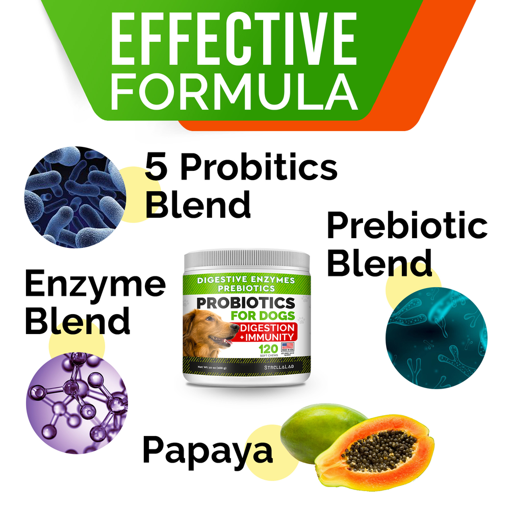 StrellaLab Digestion + Immunity Chewy