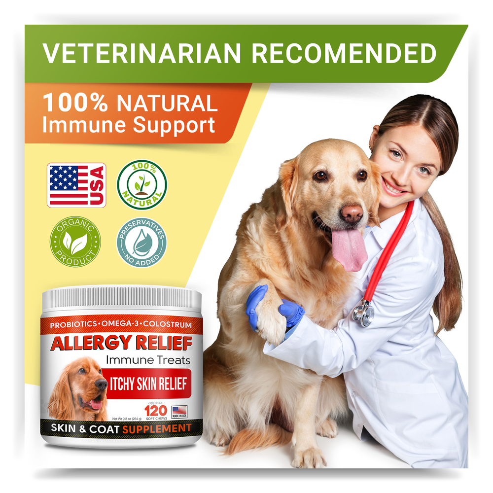 Natural allergy medicine shops for dogs