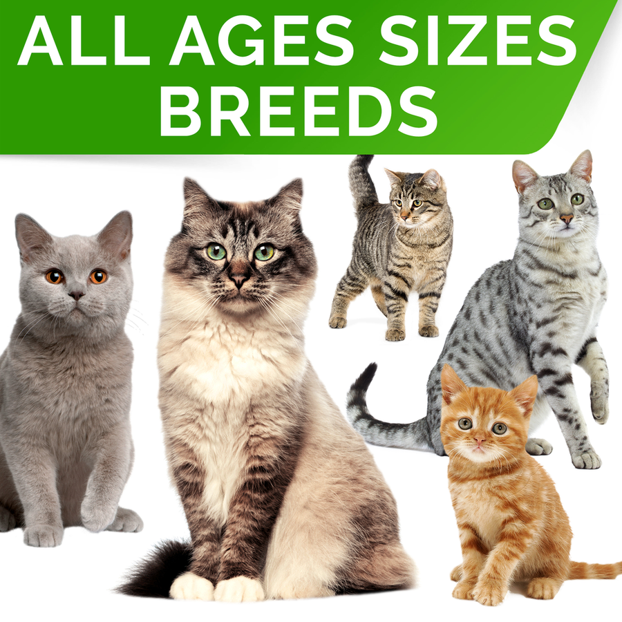 Probiotics Powder for Cats and Dogs