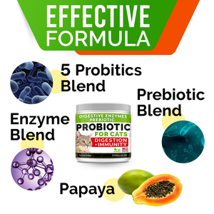 Probiotics Powder for Cats