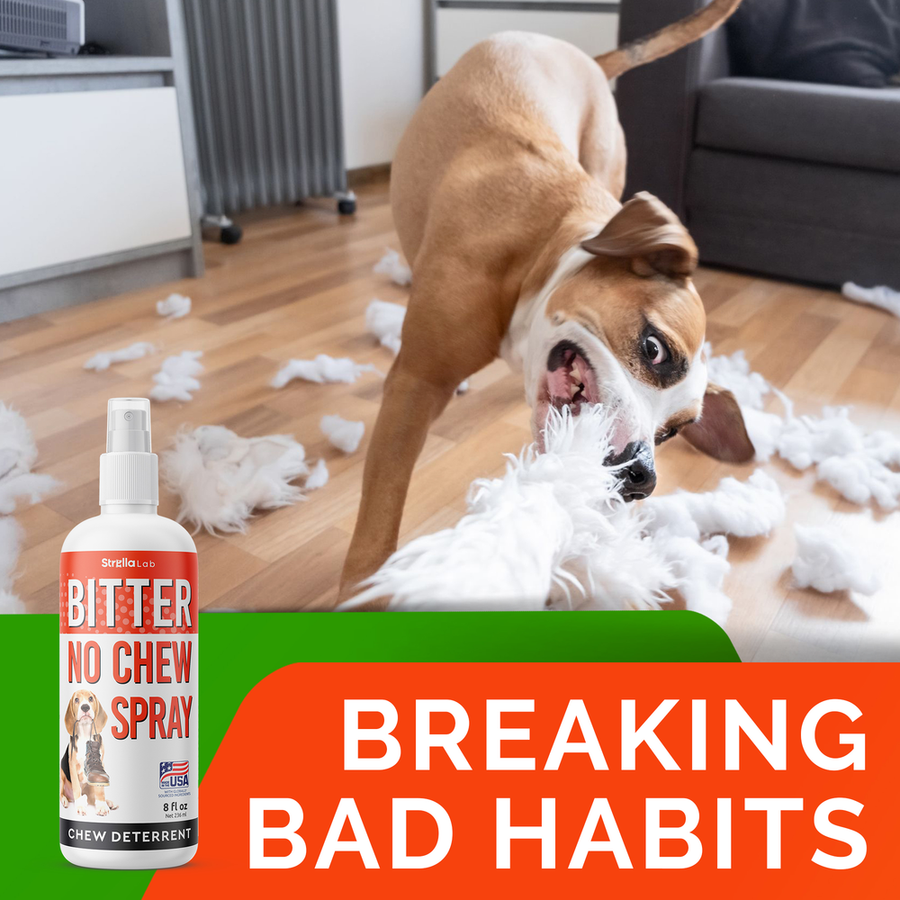 No Chew Bitter Spray For Dogs 10X Strength Dog Repellent 43 OFF
